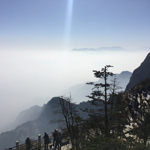 人xxxxx性xxxxx日本
